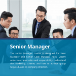 Senior Manager